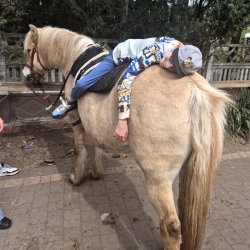 57eadc2b-a381-4c03-ac3c-08484127bf03